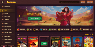 Vista previa del sitio de 5Gringos
