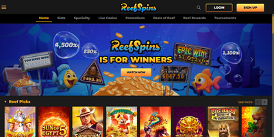 معاينة ReefSpins للموقع